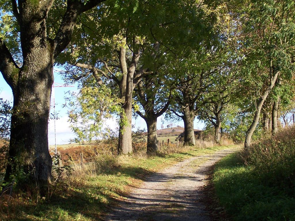 Wilke * Willingen (Upland)