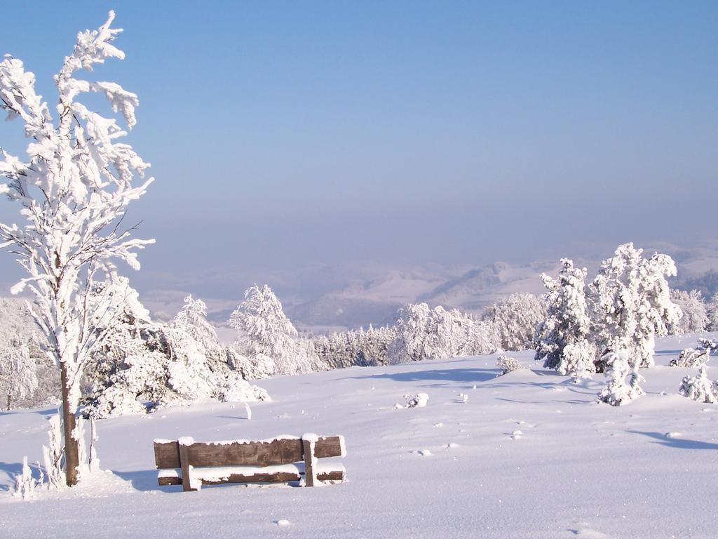 Lejlighed Wilke Willingen (Upland)