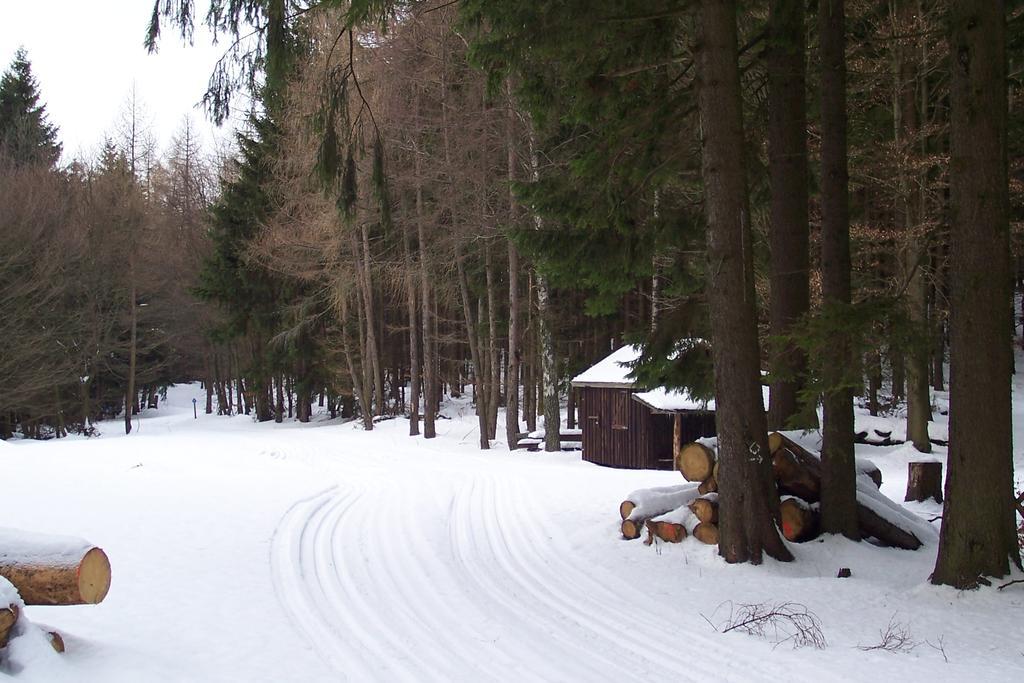 Wilke Lejlighed Willingen (Upland)